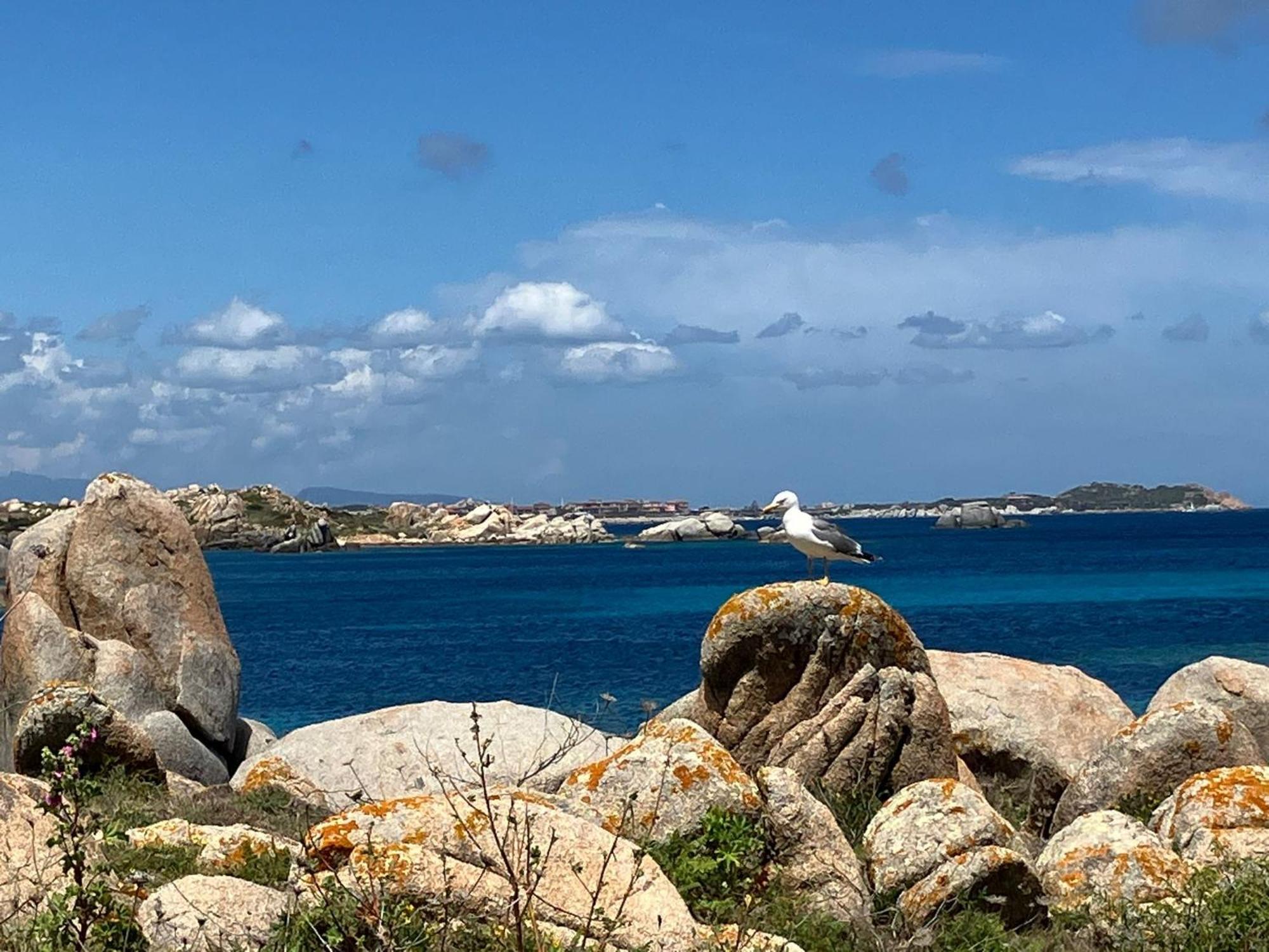 Maison Non Fumeur - Jardin 5 Personnes Proche Des Plages Finisteriennes Guipavas Dış mekan fotoğraf